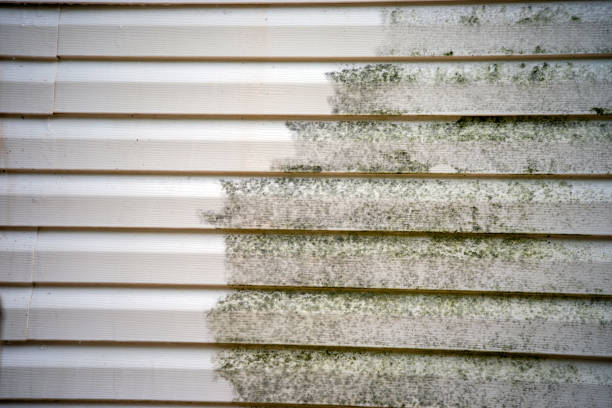 How To Choose The Right Materials for Your Siding Installation in 'South Salt Lake, UT